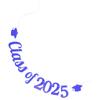 1Set Graduation Party Hanging Banner 2025 Grad Photo Prop Backdrop Decoration Bright Festive Banner for Garden Door Courtyard