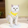 Soft Pet Sterilization Suit for Small Dogs Cats Weaning Suit Anti-licking Recovery Clothes After Surgery Puppy Kitten Care Vest