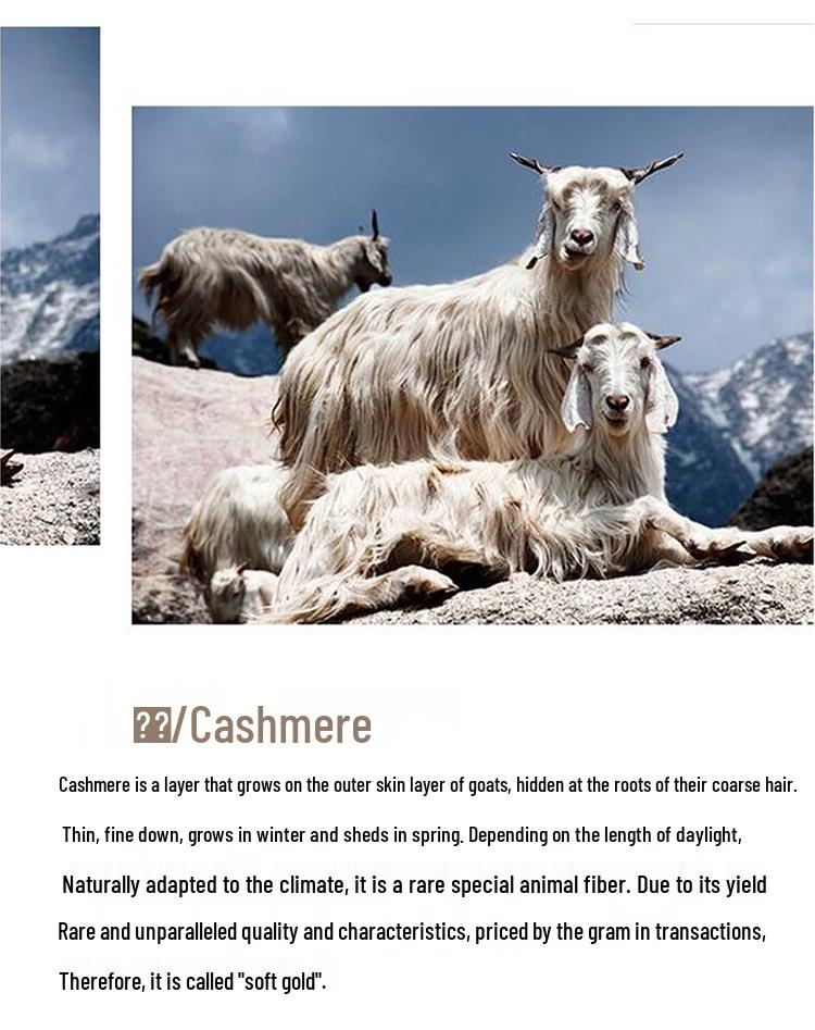 2025 Fall/Winter Women's Cashmere Polo Collar Tie-Up Cardigan with Long Sleeves