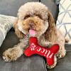 1pc Christmas Bones Design Pet Grinding Teeth Squeaky Plush Toy,Durable Chew Toy For Dog Interactive Supply