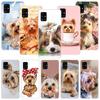 Yorkshire Terrier Dog Puppy Phone Case For Samsung Galaxy A52 A32 A22 A12 A02S A50S A30S A51 A31 AA71 Note 20 Ultra 10 S10 Plus