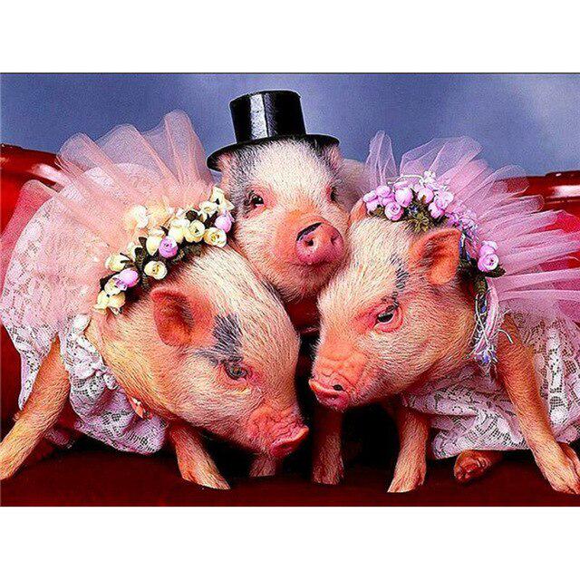 Porc DIY 5D pictura cu diamante cu punct de cruce animal rotund complet rășină diamant broderie kit imagine de strass mozaic walll art