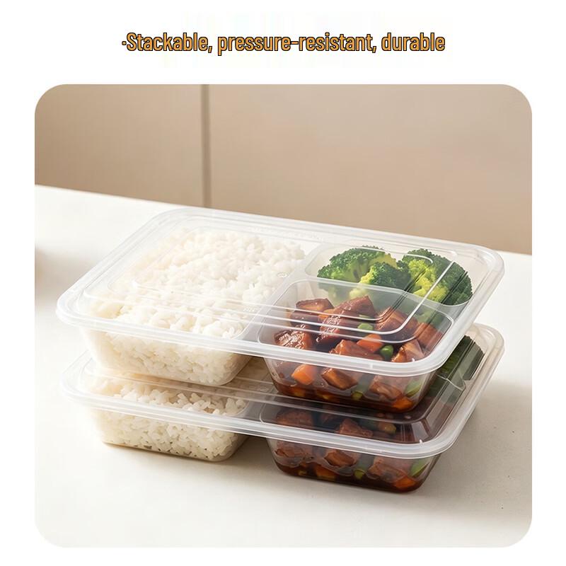 Rectangular 3-Compartment Disposable Lunch Box