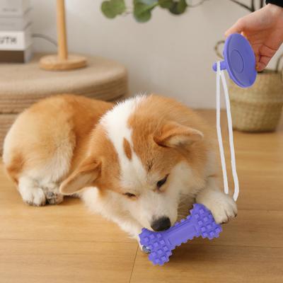 Suction Cup Dog Rope Toy Interactive Dog Chew Toy Tug-of-War Teeth Cleaning Toy for Puppy Teething Dogs Boredom Relief