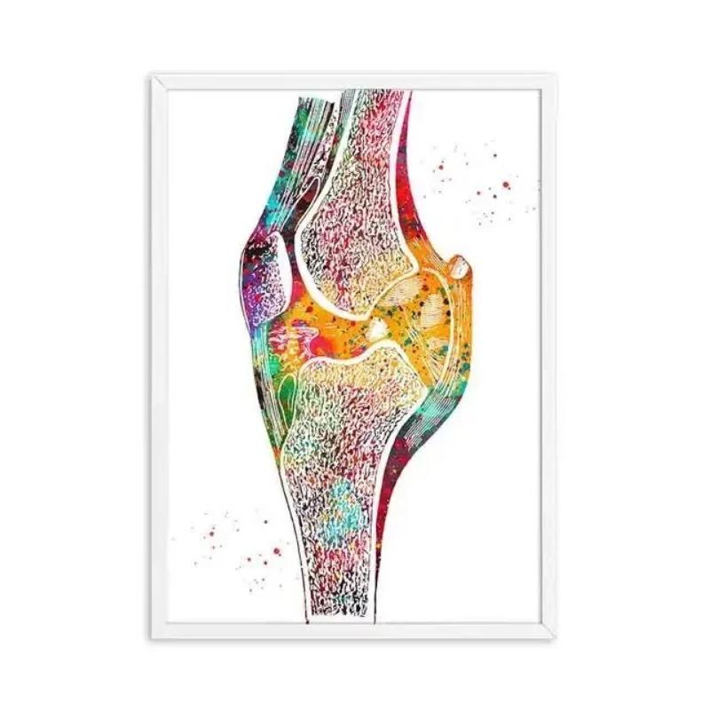 Human Anatomy Muscular System Wall Art Canvas Painting  Medical Education Poster for Home Decor Office Clinic  Body Posters Prin