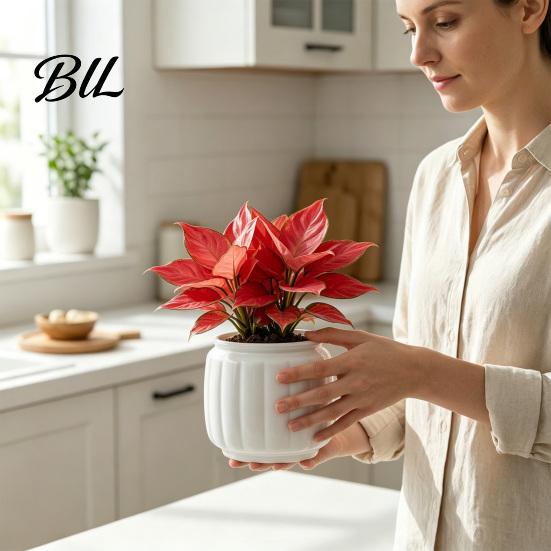 Living Room Plant Pot Self Watering Pots for Indoor Plants, Plastic Planter with Drainage Modern Home Decor Holes, Small Flower Houseplants,