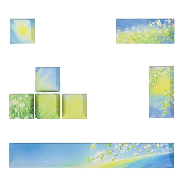 8Klawiszowe Spersonalizowane Klawiatury Mechaniczne Nakładki na Klawisze ESC Enter Spacja 6.25u PBT Oryginalny Profil Nowatorska Pokrywa Klawiszy Klawiatury DIY