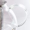 Glass Teapot with Stainless Steel Filter - 0.8 L