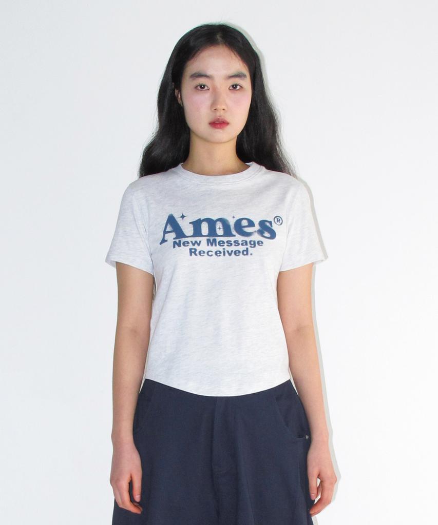 AMES-WORLDWIDE Round Hem Crop Tee Light Gray