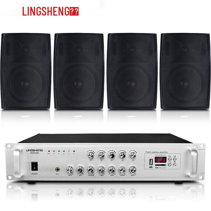 Lingsheng Wall-Mounted Speaker System for Conference & Background Music (CN version)