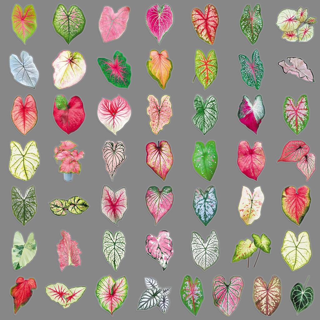50 Sheets of Realistic Translucent Taro Leaf Stickers for DIY Crafts: Envelopes, Helmets, Phone Cases