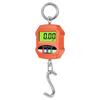 300kg Electronic Crane Scale, Digital Industrial Crane Scale, Heavy-Duty Crane Hook Scale, Suitable For Indoor And Outdoor Use