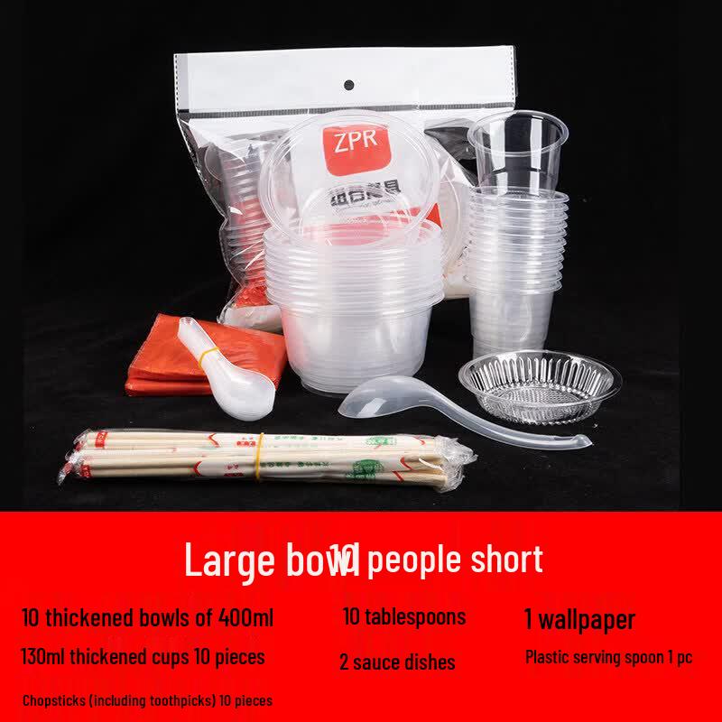 Disposable Dinnerware Set for 10