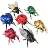 Simulated Wind-Up Insect Toy | Plastic Clockwork Bug | Kids Funny Prank Gift
