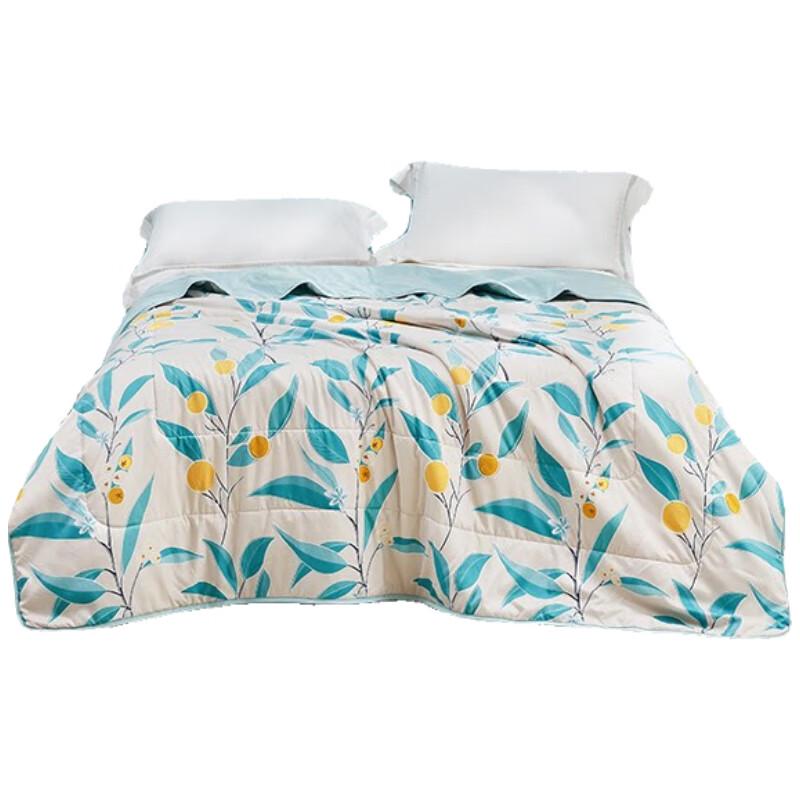 

Luolai Fruity Scent Summer Quilt