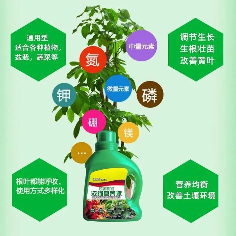 Nutrient Solution Universal Plant Concentrate Household Flower Potted Fertilizer
