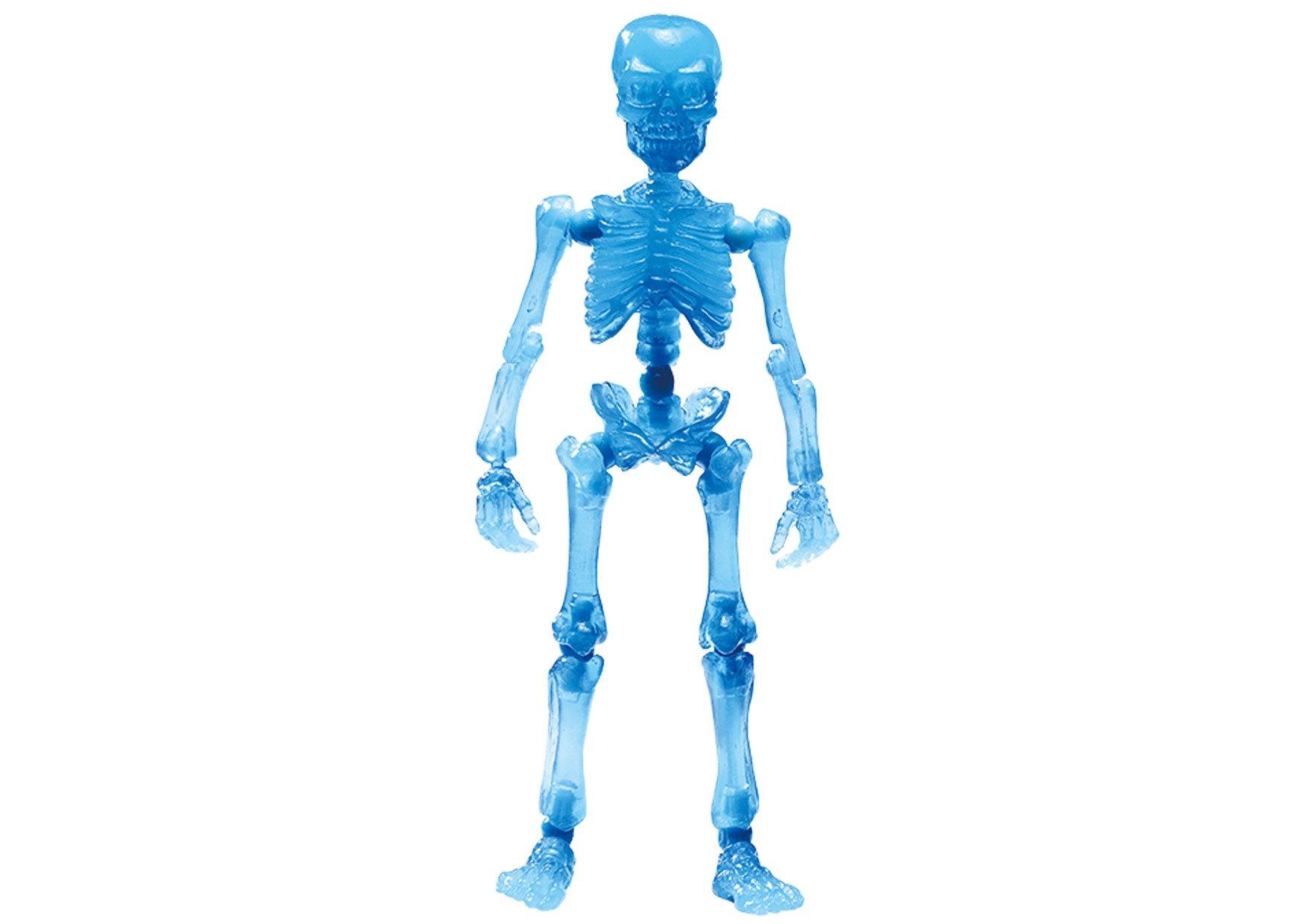 Pose Skeleton Human 03 Large Human Human Color Series Water