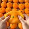 Simulated Tangerine Stress Ball Soft Squeeze Sensory Toy DIY Handmade Non-Toxic for Kids Adults Anxiety Stress Relief