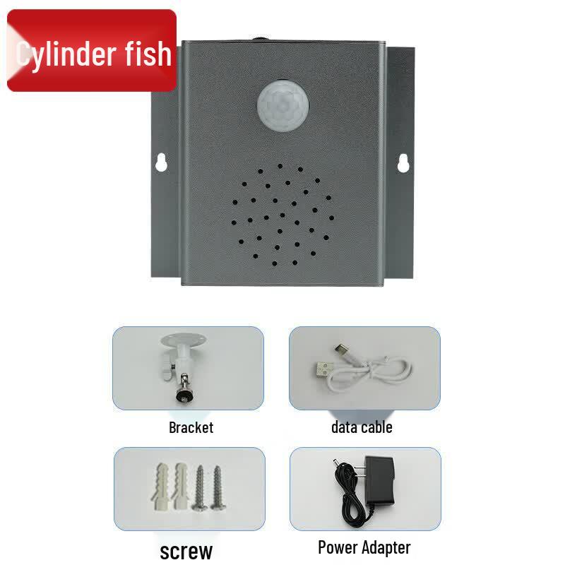 Smart Infrared Motion Sensor Voice Announcer