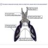 1Pcs Fishing Lure Plier Scissors Multifunctional Cutting Lines Uncoupling Fish Hooks Opening Coils Outdoor Fishing Tools Plier