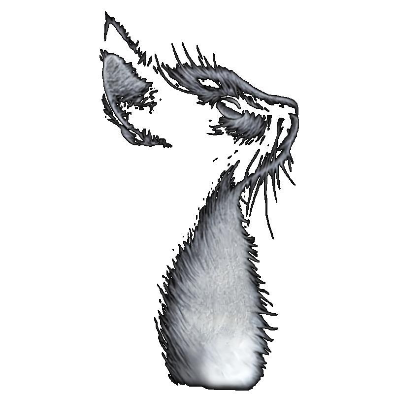 Casual Loose Fit T Shirt Black Cat Print Women Fashion Top Daily Wear Street Style Outfit