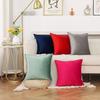 Plain Pillow Cover for Sofa Car Velvet Cushion Cover 40x40 Ornamental Pillows for Living Room Home Decor Smooth Throw Pillowcase