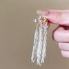 Long Style Fashionable French Tassel Earrings for Women, Light Luxury and High-end Earrings for Women, Cool and Stylish Ear Accessories for Women