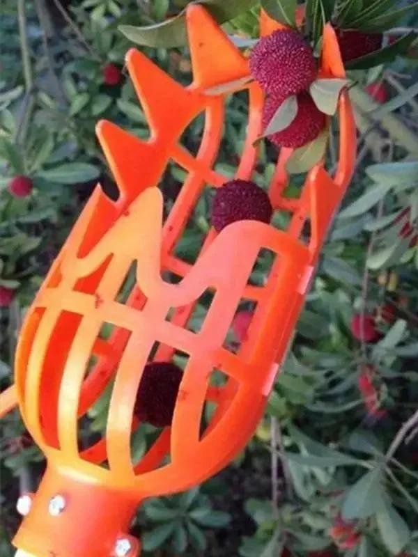 

Металевий збирач фруктів Збирач фруктів для високих дерев Портативний збирач фруктів Сільськогосподарські садові інструменти M