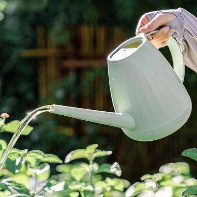 2L Watering Can with Practical Ergonomic Handle, Gardening Tools, Garden Watering Can for Flowers, Watering Plant