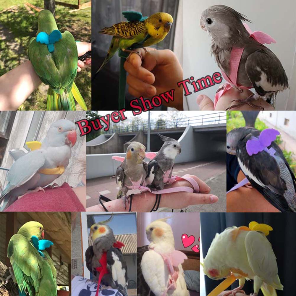 Parrot Harness Leash Ultra-light Adjustable Outdoor Flying Training Rope Bird Accessories