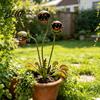 Garden Stake Decor Metal Carnivorous Plant Handmade Rainproof Yard Sculpture for Oversized Flower Beds Patios Planters Rustproof Unique Quirky Gift