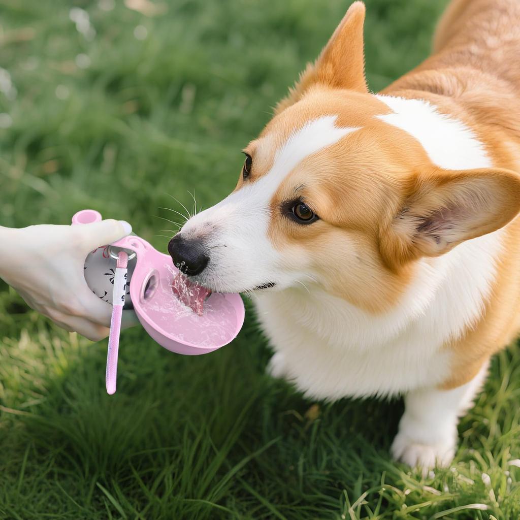 2-in-1 Tragbare Hundewasserflasche für kleine Hunde - Auslaufsicher & Kompakt Hundereise-Wasserflasche -Edelstahlflasche & Silikon