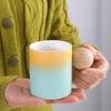 Creative Wooden Handle Mug Cups Unusual Tea Cup of Coffee Personalized Gift Cute and Different Cups Original Mugs Free Shipping