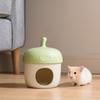 Decorative Acorn Hamster Ice Cage Unique Hamster House  Oversized Golden Bear