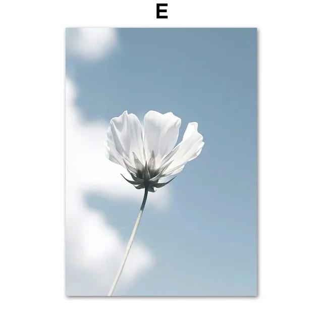 Natural Blue and White Flower Beach Crown Wall Art Canvas Painting  Nordic Posters and Prints for Interior Home Decor