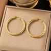 316L Stainless Steel New Fashion Fine Jewelry Minimalism Twisted Rotate 3 Cm Diameter Circular Circle Hoop Earrings For Women