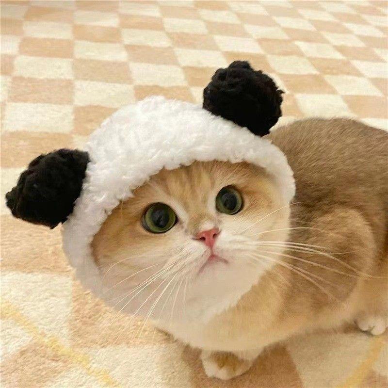 Pet Hat: Cute Bear Plush Headdress for Cats and Small Dogs