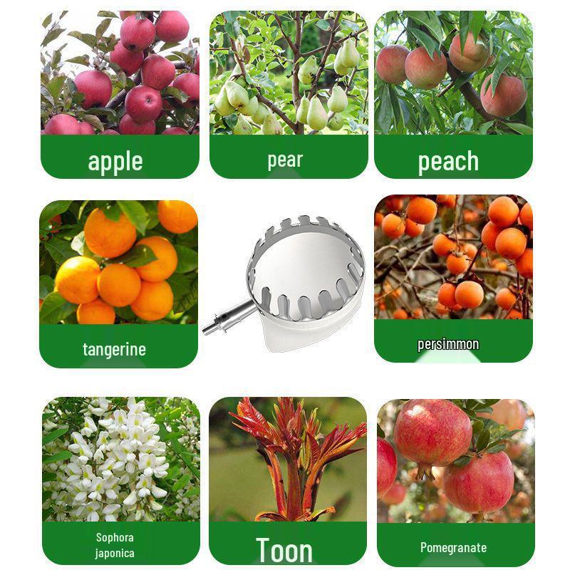 High-Altitude Fruit Picker: Loquat, Waxberry, Mango, Plum, Peach, Apricot - Telescopic Pole Tool