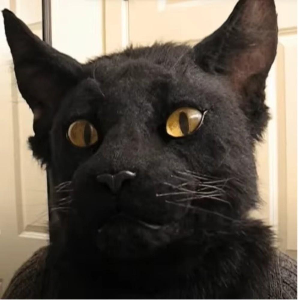 Venetian Party Eagle Mask Simulation Animal Wolf Mask Halloween Hood Mask  Party Makeup Ball