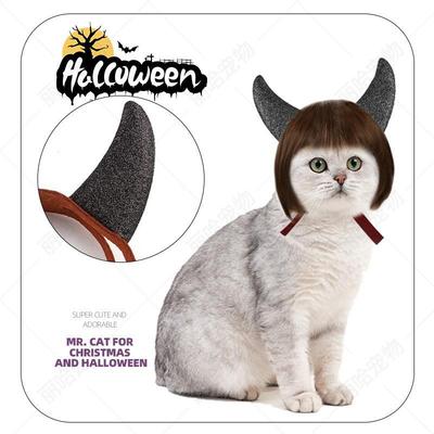 Katzen – Kleidung für Katzen