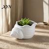 Playful Design Flowerpot 3D Printed Conch Flower Pot, Moisture-Resistant Mini Planter with Wavy Edge And Moisture-resistant Drain Hole Design,