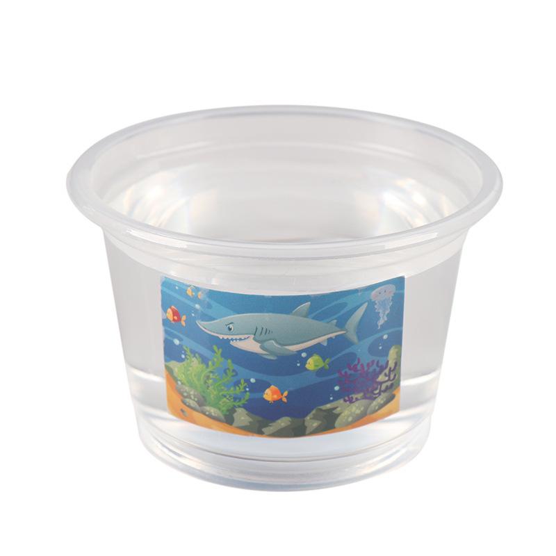 Elementary Science Experiment Wooden DIY Kit - Educational Toys