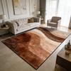 Modern Light Luxury Style Large Living Room Rugs Curve Art Decoration Home Machine Washable Carpet Bedroom Baby Crawling Mat