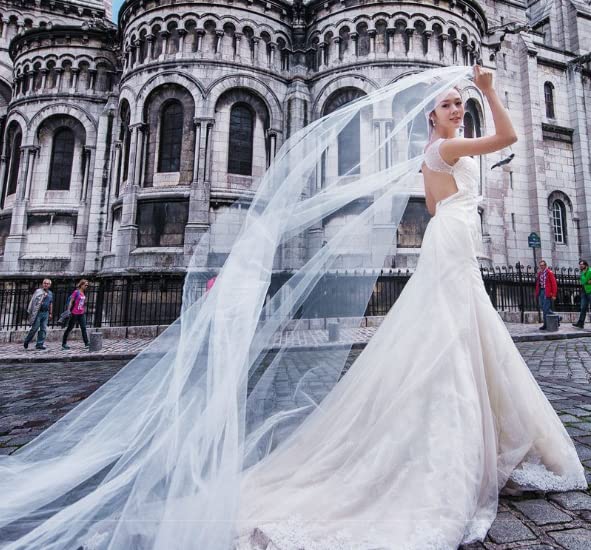 LONTG Wedding Bridal 5m Hair Wedding Bridal Photo Location Net Yarn Bridal Thin Mesh White Veil, Veil, Long, Accessory, Veil, Dress, Shoot, Beach,