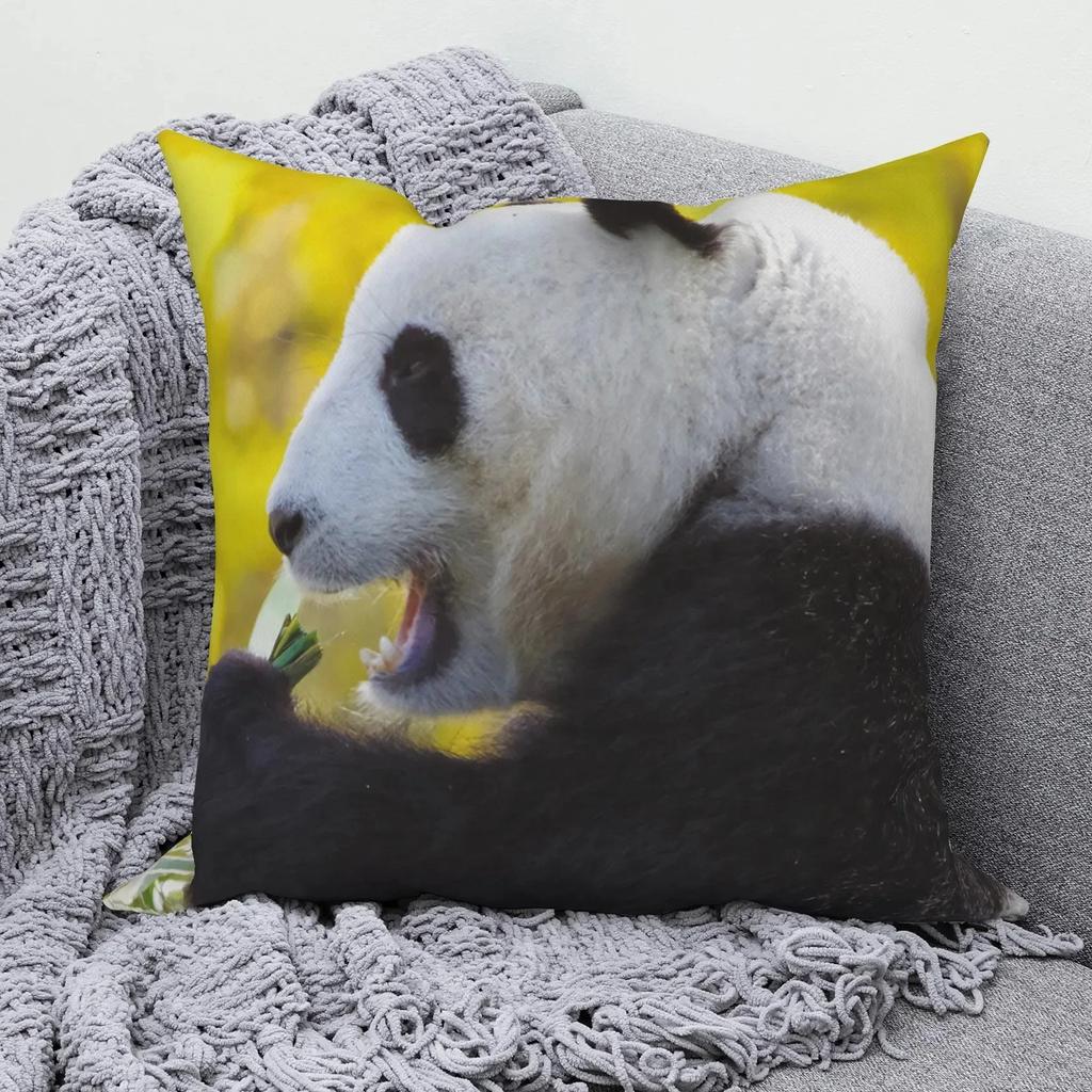 Square Pillow Cute Giant Panda Animal Pattern Cushion Cover Home Living Room Sofa Bedroom Decoration