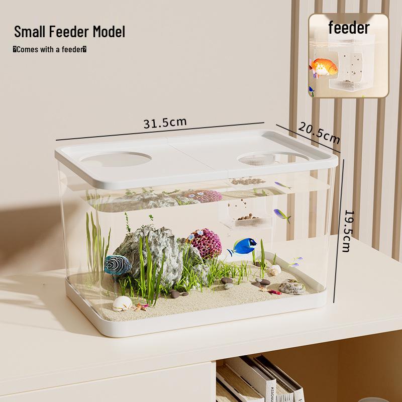 Klarer Schreibtisch-Aquarium mit Schildkrötenplattform