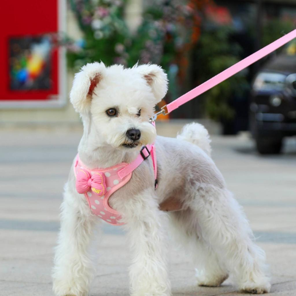 Bowtie Dog Harness Set Soft Pink Dotted Harness Pet Accessory Breathable Escape Resistant