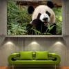 Drucken Wand Pop Art Tier Bambus Panda Bär Landschaft Ölgemälde auf Leinwand Poster Moderne Wand Bild Für Wohnzimmer cuadros