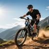 Stadsfiets elektrische fiets voor dames en heren 48V 20AH 960Wh 27.5 150km 50Nm, Pedelec