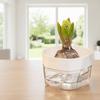 6PCS Root Visibility Hydroponic Container Eco-Friendly Plastic Butterfly Orchid Flowerpot Water Storage Lazy Flowerpot Hyacinth